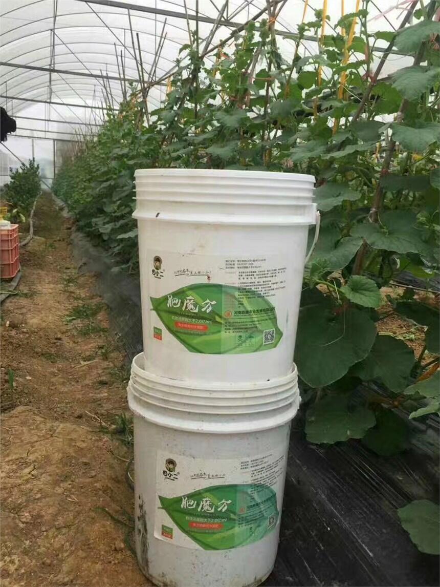 粘土地施用復合微生物肥料和生物有機肥的好處